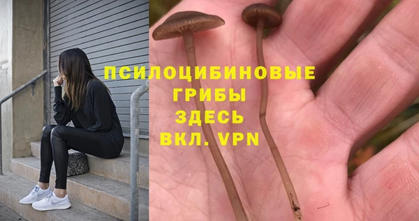 кокаин Богородицк